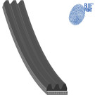 Blue Print | Keilrippenriemen | AD03R963