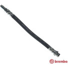 Brembo | Bremsschlauch | T 86 033