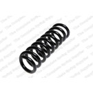 4256855 Fahrwerksfeder