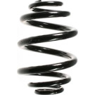 Spidan | Fahrwerksfeder | 55086