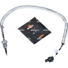 NRF | Sensor, Abgastemperatur | 707392