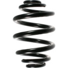 Spidan | Fahrwerksfeder | 49167