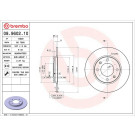 Brembo | Bremsscheibe | 08.9602.10