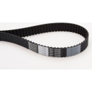 CT1015 Zahnriemen CT1015 Zahnriemen