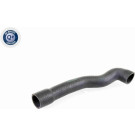 Vaico | Kühlerschlauch | V20-1239 Vaico | Kühlerschlauch | V20-1239