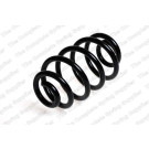 4263460 Fahrwerksfeder