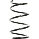 Spidan | Fahrwerksfeder | 55084