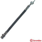 Brembo | Bremsschlauch | T 83 160
