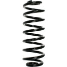 Spidan | Fahrwerksfeder | 55100