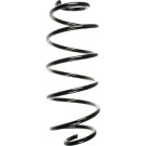 Spidan | Fahrwerksfeder | 55591