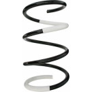 Spidan | Fahrwerksfeder | 87090
