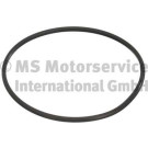 3.32038.02.0 Dichtung, Kraftstofftankverschluss