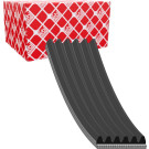 FEBI BILSTEIN 28921 Keilrippenriemen FEBI BILSTEIN 28921 Keilrippenriemen