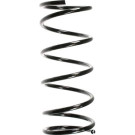 Spidan | Fahrwerksfeder | 55337
