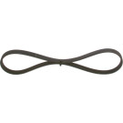 1 987 947 889 Keilrippenriemen