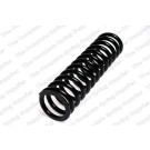 4056808 Fahrwerksfeder