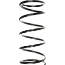 Spidan | Fahrwerksfeder | 49333
