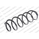 4272951 Fahrwerksfeder