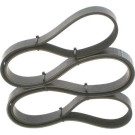 1 987 946 031 Keilrippenriemen