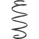Spidan | Fahrwerksfeder | 87617