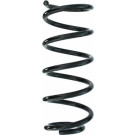 Spidan | Fahrwerksfeder | 87199