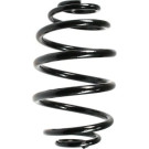Spidan | Fahrwerksfeder | 48790