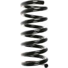 Spidan | Fahrwerksfeder | 49104