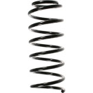 Spidan | Fahrwerksfeder | 48752