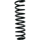 Spidan | Fahrwerksfeder | 48532