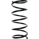 Spidan | Fahrwerksfeder | 55492