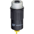 Hengst Filter | Kraftstofffilter | H300WK01