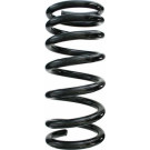 Spidan | Fahrwerksfeder | 55787