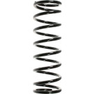 Spidan | Fahrwerksfeder | 55329