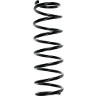 Spidan | Fahrwerksfeder | 49528