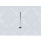 01 0520 471003 Auslassventil