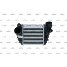 30799 Ladeluftkühler