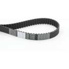 CT793 Zahnriemen CT793 Zahnriemen