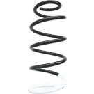 Spidan | Fahrwerksfeder | 86715