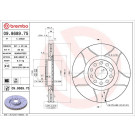 Brembo | Bremsscheibe | 09.8689.75