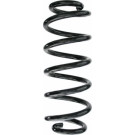 Spidan | Fahrwerksfeder | 87496