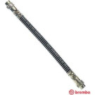 Brembo | Bremsschlauch | T 61 018