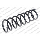 4295865 Fahrwerksfeder