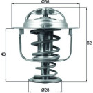 Mahle | Thermostat, Kühlmittel | TX 197 71D