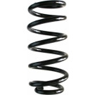 Spidan | Fahrwerksfeder | 87284