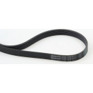 ContiTech | Keilrippenriemen | 6PK1244 ContiTech | Keilrippenriemen | 6PK1244