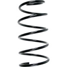 Spidan | Fahrwerksfeder | 49775