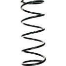 Spidan | Fahrwerksfeder | 55132