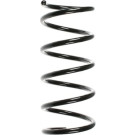 Spidan | Fahrwerksfeder | 55218
