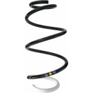 Spidan | Fahrwerksfeder | 87877