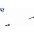 V20-1856 Schlauch, Zylinderkopfhaubenentlüftung Original VAICO Qualität